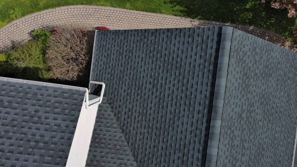 Best Gutter Installation and Repair  in Iowa Colony, TX