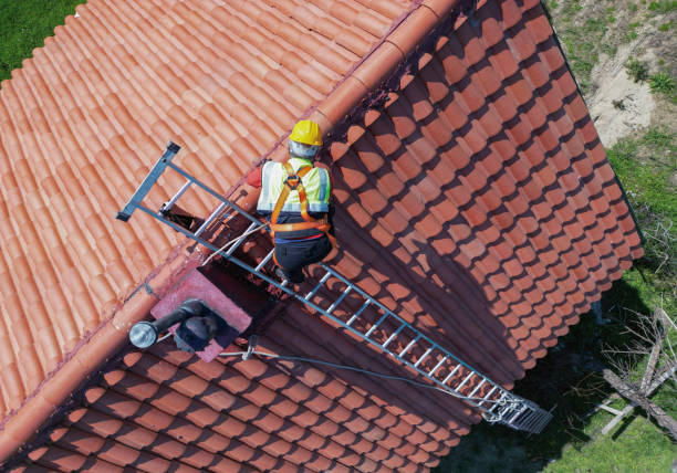Best Skylight Installation and Repair  in Iowa Colony, TX