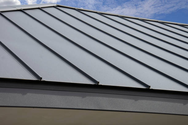 Best Metal Roofing Installation  in Iowa Colony, TX